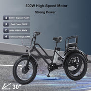 Foldable Electric Tricycle, 20-Inch Fat Tire, 500W Motor, Removable 48V Battery, Basket