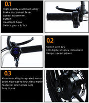 HpLNDas Folding Electric Adult Tricycle, 14-inch Wheels, Passenger Seat & Basket, 48V