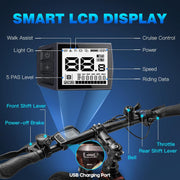 Fafrees Hailong One 26-inch Electric City Bike, 468Wh Battery, 250W Motor