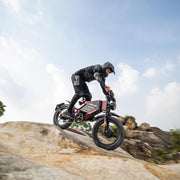 RZOGUWEX X7 20-inch Off-Road Dual Motor E-Bike 48V 30Ah Battery