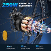 Fafrees Hailong One 26-inch Electric City Bike, 468Wh Battery, 250W Motor