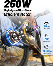 DUOTTS C29 29-inch Electric Mountain Bike: 48V 15Ah Battery, 250W Motor