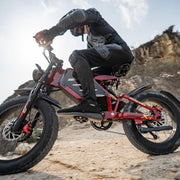 RZOGUWEX X7 20-inch Off-Road Dual Motor E-Bike 48V 30Ah Battery